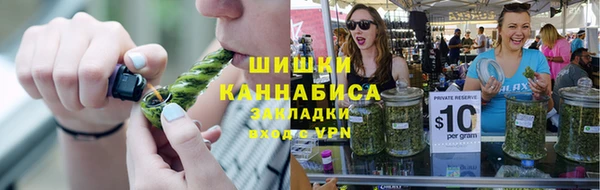 твердый Аркадак