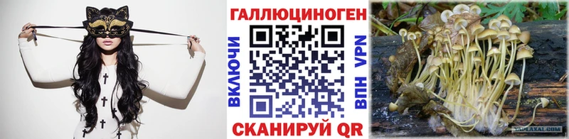 наркошоп  Вязьма  Галлюциногенные грибы Cubensis 
